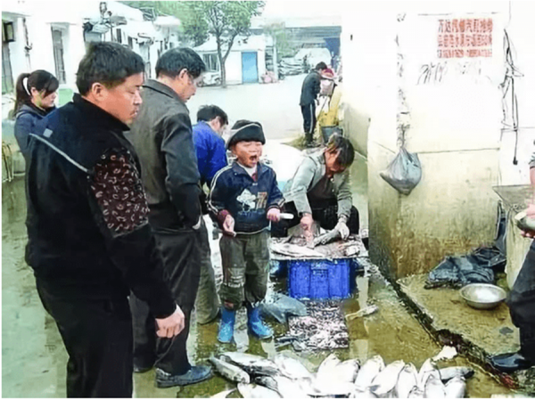 2010年，江蘇殺魚弟一夜爆紅，17歲喝下百草枯，最終卻因鬥毆獲刑