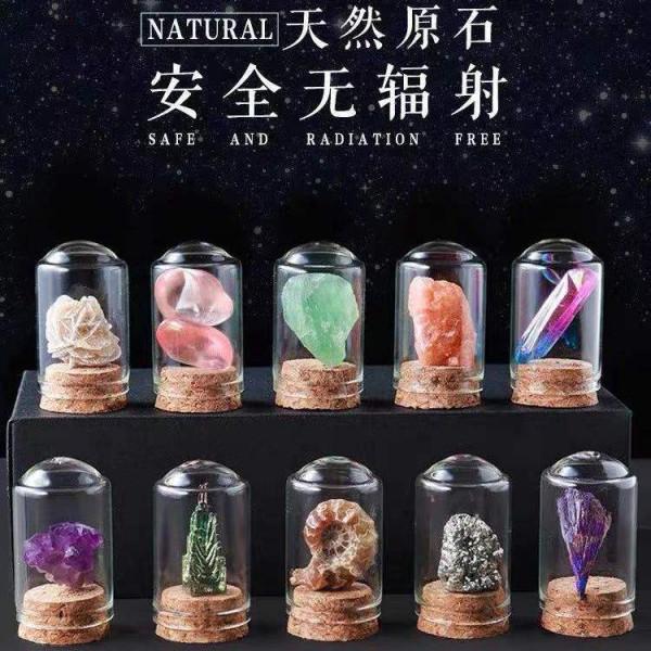 黑豹帶你去旅行啊 黑豹帶你去旅行啊