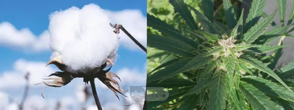 如何低成本提升穿衣品味？先學會買衣服前看成分，選對好面料