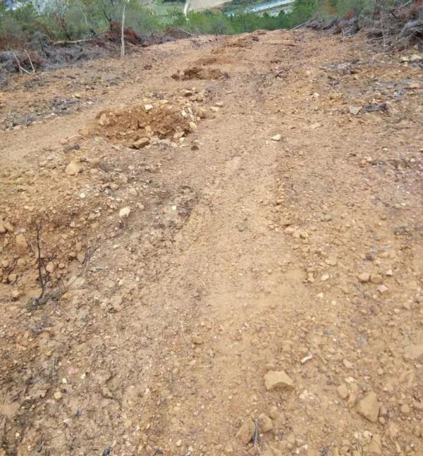 春節爬山瘦身軼事