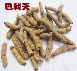 “想發財,種藥材”分享幾個高收益藥材種植專案,建議收藏 “想發財,種藥材”分享幾個高收益藥材種植專案,建議收藏