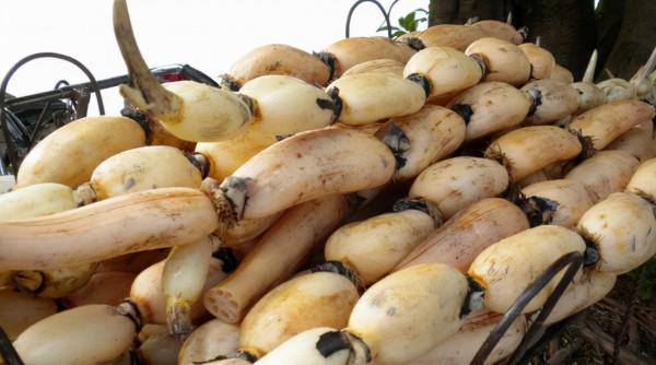 入冬後3種食物要多吃！應季而食，提高免疫力