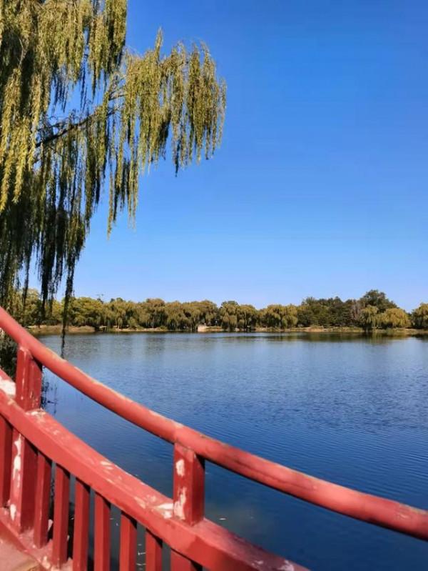 秋日帶娃野餐，這本書記得帶