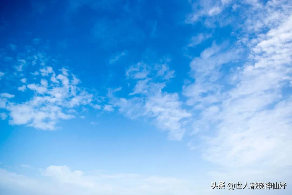 什麼樣的人最幸福？酒後看性格