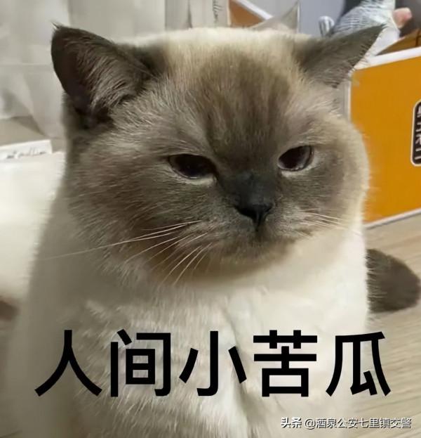 【交警提示】這些情況，如何正確掉頭？看完就懂了