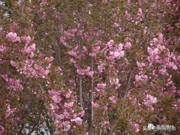 賀神州十三號升空（總第917期）