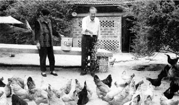 毛致用:曾主政湘贛多年,從副國級位置退休,回鄉帶村民養豬致富 毛致用:曾主政湘贛多年,從副國級位置退休,回鄉帶村民養豬致富