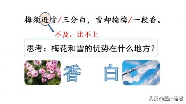 四年級語文上冊（人教版）第三單元《古詩三首》課文講析