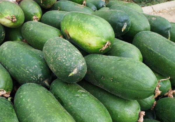 蔬菜“漲價潮”背後，2種蔬菜下跌，最高跌10倍，菜農：賠錢也賣