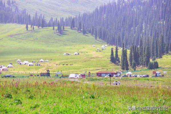 新疆伊犁天山下有個美麗的地方,雪山連綿野花盛開,風景遼闊壯觀 新疆伊犁天山下有個美麗的地方,雪山連綿野花盛開,風景遼闊壯觀