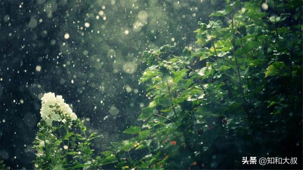 這四種“熟人”,不會對你好,最喜歡見不得你好 這四種“熟人”,不會對你好,最喜歡見不得你好