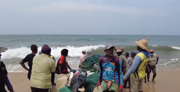 絕戶網的威力有多大？斯里蘭卡漁民用拖拉機捕魚，抓的魚還不夠分