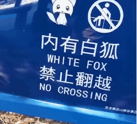 逛了一圈並夕夕版動物園，沒想到我有生之年還能見到龍