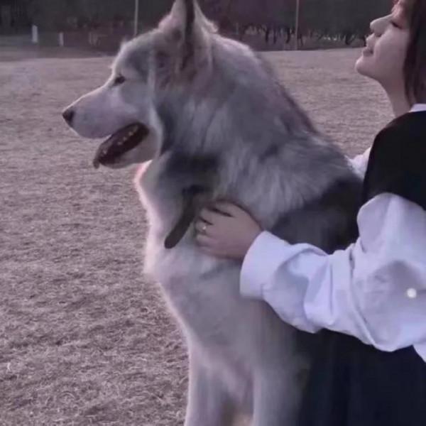 2022年白羊座大預言事件