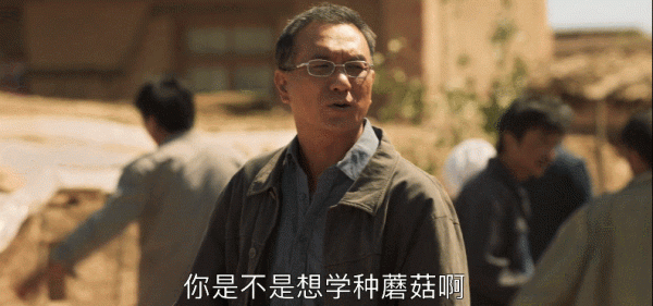 32屆華鼎獎:王勁松、朱一龍、張桐爭視帝,熱依扎夢圓視後穩了 32屆華鼎獎:王勁松、朱一龍、張桐爭視帝,熱依扎夢圓視後穩了