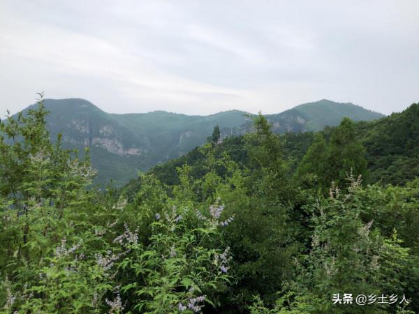 八月十三進詹,老話說:“有詹無詹,就看八月十三”,何為進詹? 八月十三進詹,老話說:“有詹無詹,就看八月十三”,何為進詹?