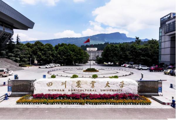 重大突破不斷,創造1000億社會經濟效益!四川這所雙一流歷經百年,初心未改! 重大突破不斷,創造1000億社會經濟效益!四川這所雙一流歷經百年,初心未改!