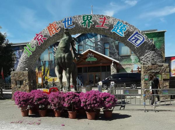 誰將成為新中國第一代職業馴鹿師