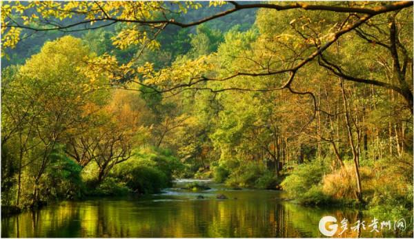 貴陽阿哈湖國家溼地公園景色宜人 貴陽阿哈湖國家溼地公園景色宜人