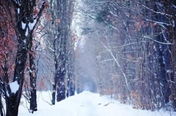 倉央嘉措詩歌：用多少美人和香草才能馴服一顆野心
