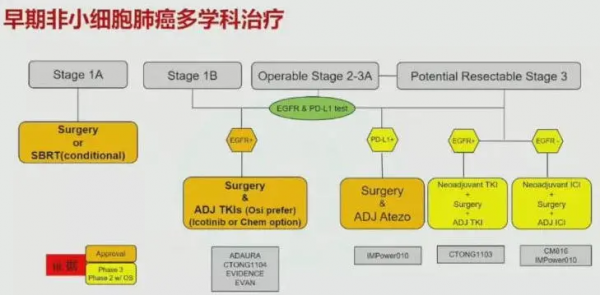 龍哥江湖丨吳一龍教授盤點2021肺癌大事件 龍哥江湖丨吳一龍教授盤點2021肺癌大事件