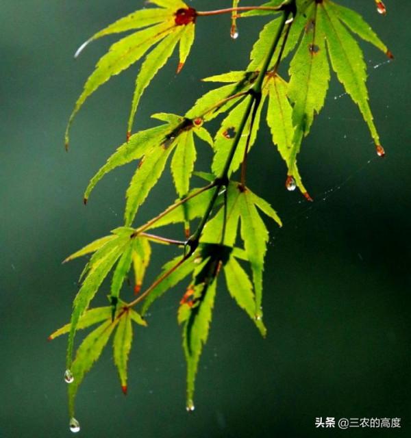 天氣預報:2022年春節冷嗎?就看八月十五天氣,農諺俗語怎麼說? 天氣預報:2022年春節冷嗎?就看八月十五天氣,農諺俗語怎麼說?