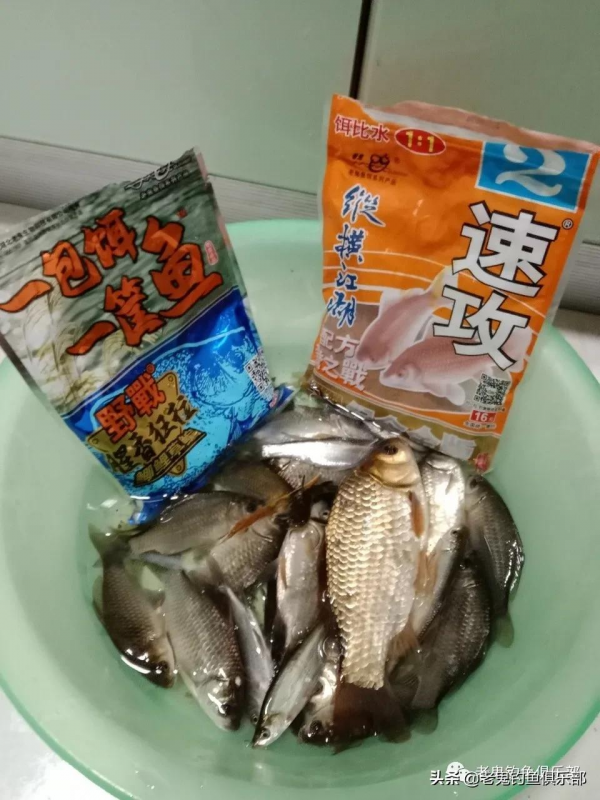 入冬收竿之戰，豐收了