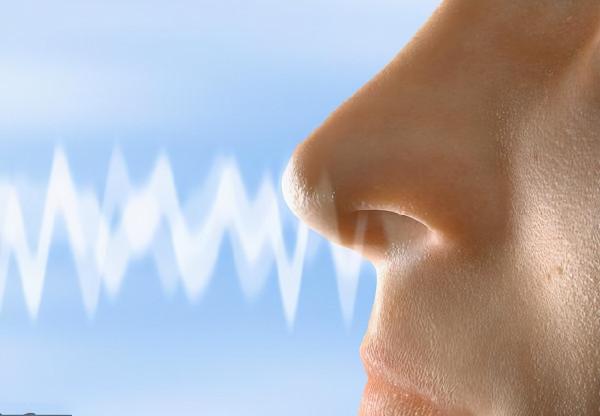 鼻子突然失靈，小心是疾病找上門