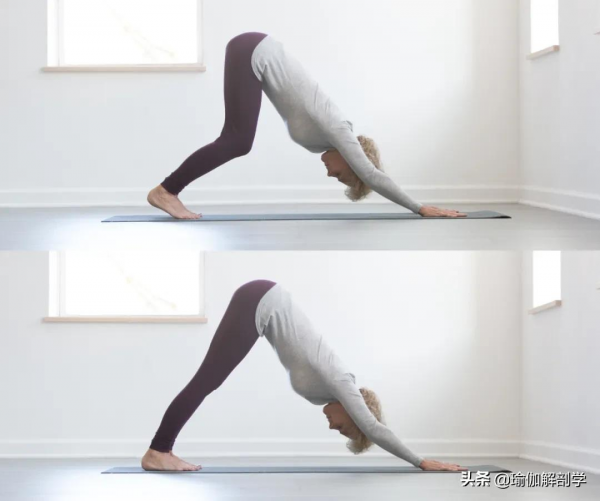 練瑜伽，這類人不能做後彎，初學者尤其要注意