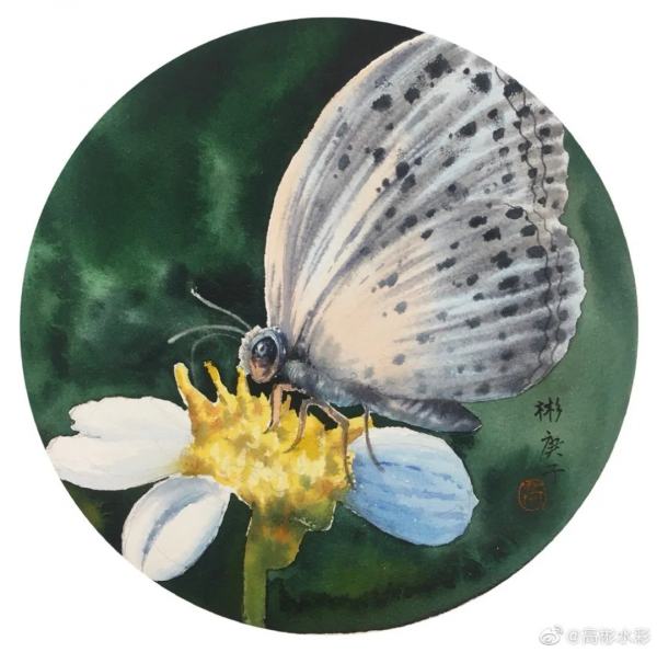 川美畢業的水彩大師，筆下繽紛的花卉、極致的風景靜物，張張迷人