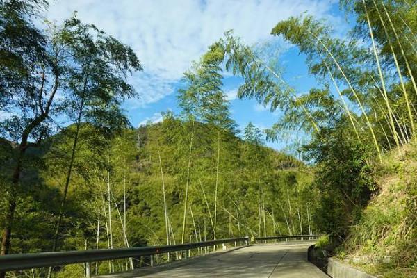 踏著深秋的落葉,去四明山來場自駕遊 踏著深秋的落葉,去四明山來場自駕遊