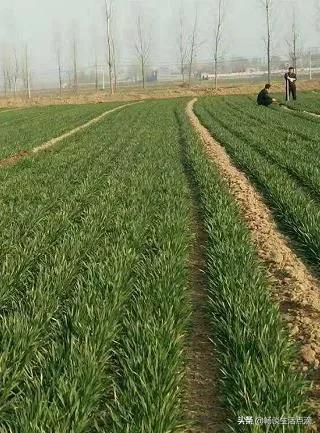 天氣預報：明年是不是好年景？十一月初一早知道，看看諺語怎麼說