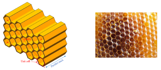 大連理工|清華大學頂刊綜述:先進蜂窩結構設計及力學效能提升 大連理工|清華大學頂刊綜述:先進蜂窩結構設計及力學效能提升