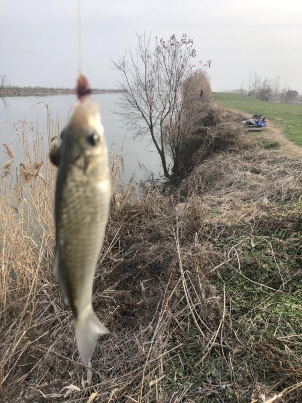 首次體驗冰窟釣魚，收竿時魚口還是那麼暴躁