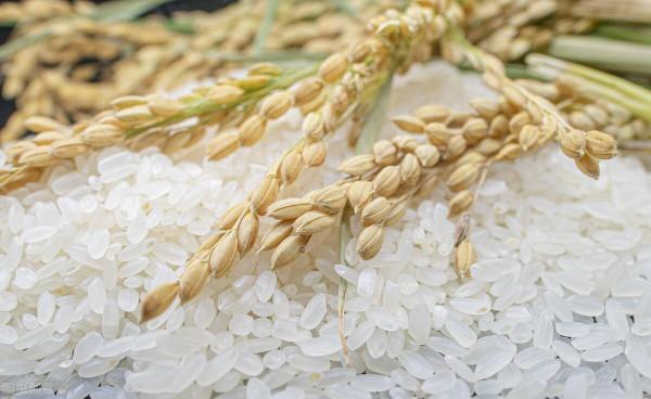 重陽節,癌症患者怎麼能過得有滋有味? 重陽節,癌症患者怎麼能過得有滋有味?