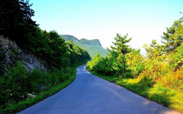 特別漂亮的路風景分享