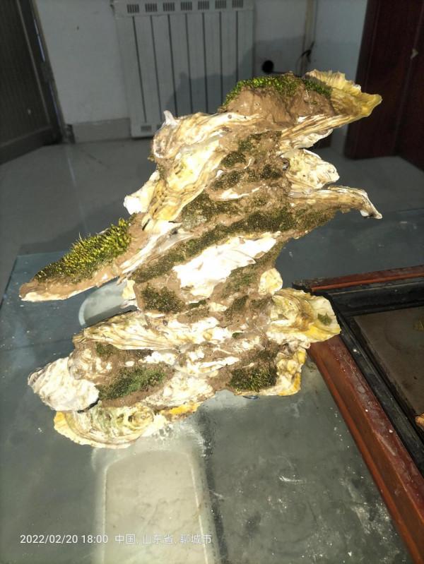 自己的創造海蠣子殼製作假山