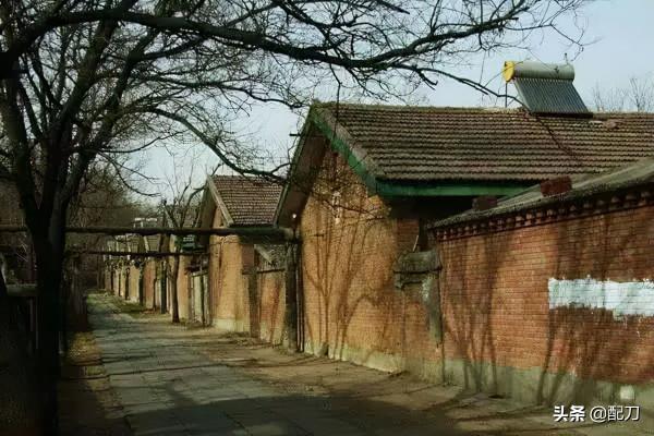 呼和浩特往事之——能氣死你