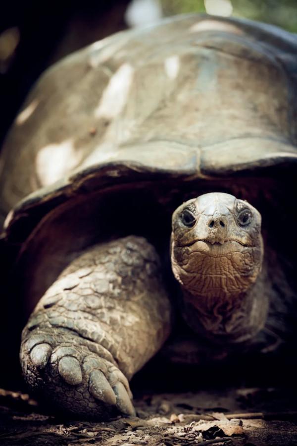 在這個2022上榜國，尋找不一樣的海島度假方式