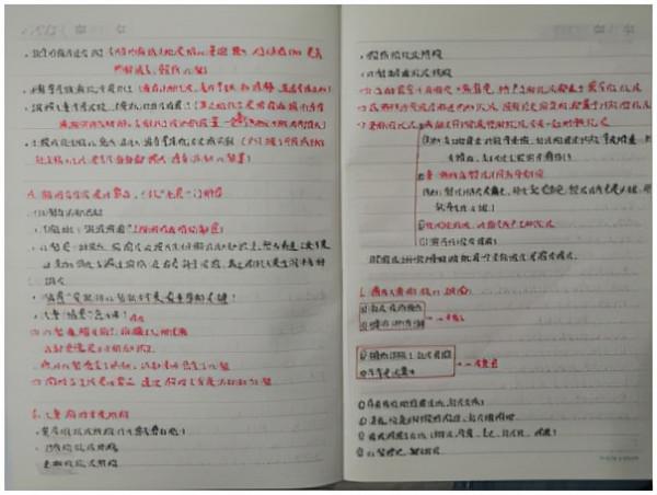 關於幾年來的同伴介入回憶錄（下）