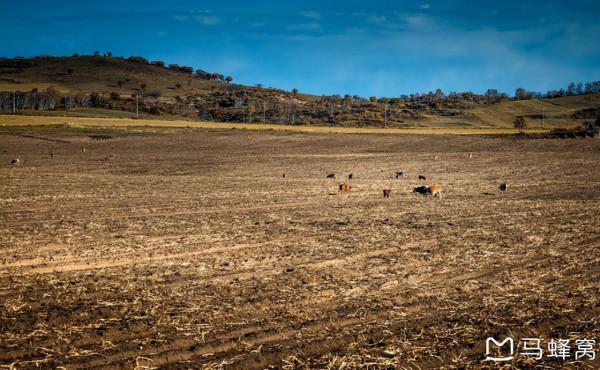 三天三季-我的烏蘭布統之旅 第三篇