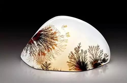 海底精靈（上）