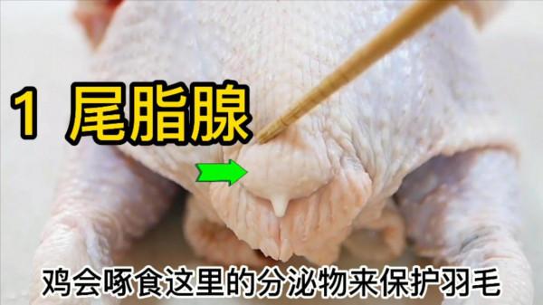 雞有8個地方毒素最重，不要亂吃，24年1級廚師講解雞不能吃的位置