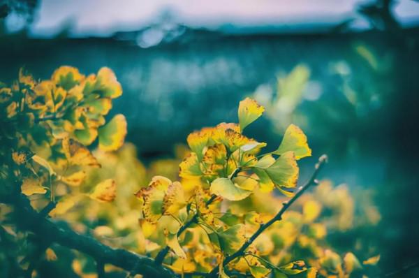 11月，必去的10個古村落，每一個都美得獨特，讓你不想離開