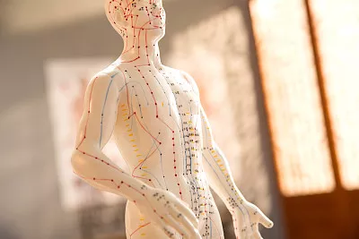 健康小站話養生|壓一壓這個神奇的部位,能降糖? 健康小站話養生|壓一壓這個神奇的部位,能降糖?