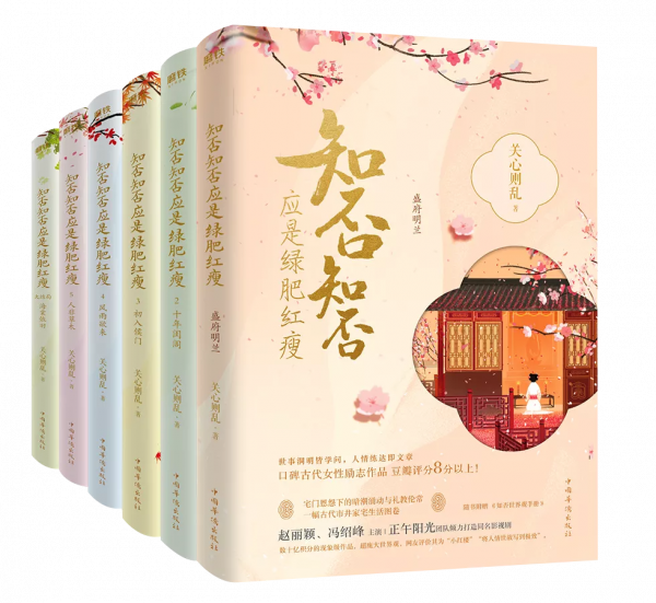 專訪|晉江文學城《知否》作者關心則亂：文藝女青年和她的天馬行空小說夢