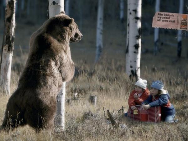 國外網友釣魚時，和熊偶遇，為什麼熊沒有攻擊這些釣友呢？