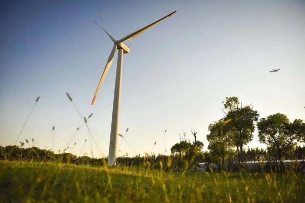 大美臨港丨聽人鯨傳奇、看海天一色、望璀璨星空……這樣的生態寶地，你嚮往嗎？