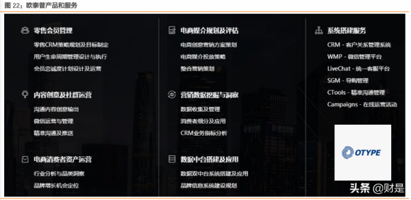 營銷服務行業之藍色游標研究報告