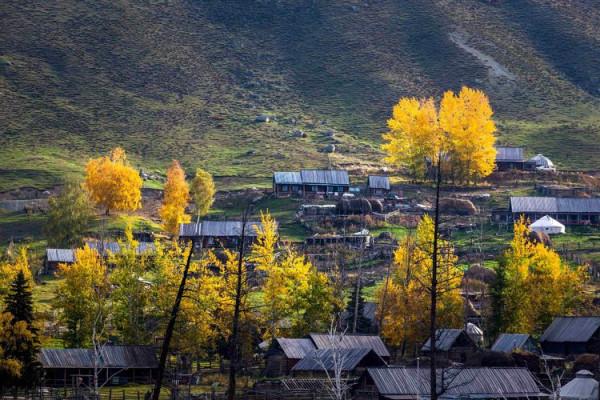 「攝影」西北第一村——白哈巴,讓你去了不想走的一個地方 「攝影」西北第一村——白哈巴,讓你去了不想走的一個地方